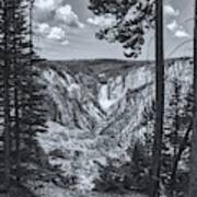 Yellowstone Falls Black And White Poster