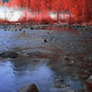 Yosemite River In Red Poster