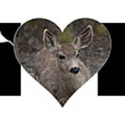 Young Doe In Heart With Little Boy Mom Big Letter Poster