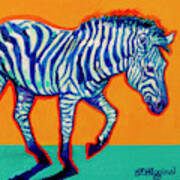 Zebra Poster