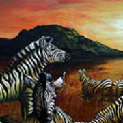 Zebra Sunset Poster