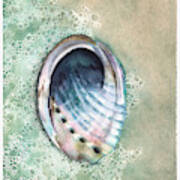Abalone Poster