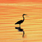 Egret Silhouette Poster