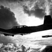 Formation Flight In Black And White Poster