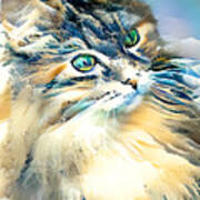 Molokai The Tsunami Cat 20210714 #1 Poster