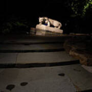 Nittany Lion Shrine At Night At Penn State University #1 Poster