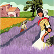 Provence #1 Poster