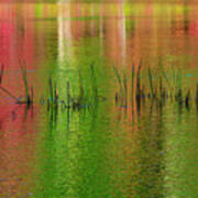 Red And Green Colors Reflection In Water #2 Poster