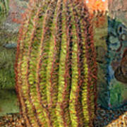 Fish Hook Barrel Cactus Poster