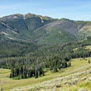 Scenery At Mt Washburn Trail In Yellowstone National Park, Wyomi #1 Poster