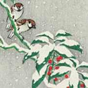 Sparrows On Snowy Berry Bush #2 Poster