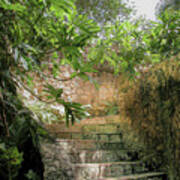 Steps Near Cenote - Chichen Itza Poster