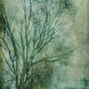 Tree Mist #1 Poster