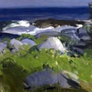 Vine Clad Shore, Monhegan Island #3 Poster