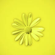 Yellow Daisy Flower #1 Poster