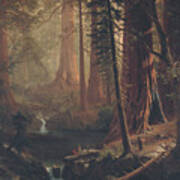 Giant Redwood Trees Of California By Albert Bierstadt Poster
