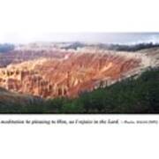 104th Psalm-cedar Breaks With Flowers Poster