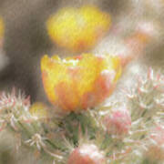 1626 Watercolor Cactus Blossom Poster