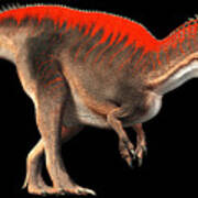 Acrocanthosaurus #2 Poster