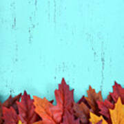 Autumn Fall Rustic Wood Background.  #3 Poster