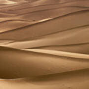 Background With Of Sandy Dunes In Desert Poster