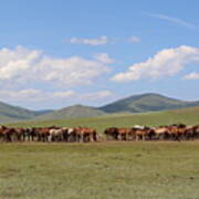 Nature In Mongolia #3 Poster