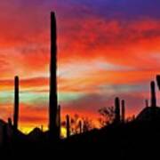 Sonoran Sunset #3 Poster