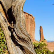 Arches National Park #32 Poster