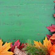 Autumn Fall Rustic Wood Background.  #4 Poster