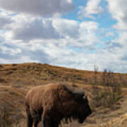 Buffalo With Clouds At Theodore Roosevelt National Park In North Dakota #4 Poster