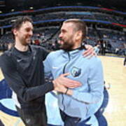 Marc Gasol And Pau Gasol #4 Poster