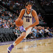 Omri Casspi #4 Poster