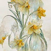 Daffodils #6 Poster