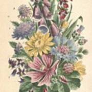 Beautiful Vintage Flower #609 Poster