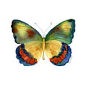 67 Bagoe Butterfly Poster