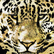 Golden Leopard Face Poster