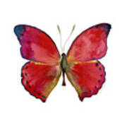 83 Red Glider Butterfly Poster