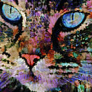 A Colorful Cat Named Kitty Poster
