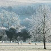 A Frosty Day, Cotswolds, England, Uk Poster