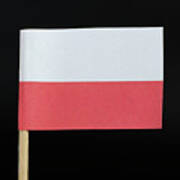 Flag Of Poland Poster