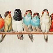 A Perch Of Birds Poster
