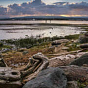 A View From Filberg Park Poster