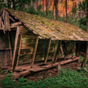 Abandoned Shack In The Woods Poster