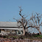 Abandoned Texas Farmhouse Poster