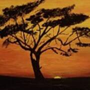 Acacia Tree At Sunset Painting Poster