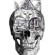 Alchemical Skull Poster