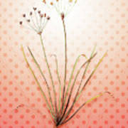 Allium Straitum Vintage Botanical In Peach Fuzz Polka Dot Pattern N.1850 Poster