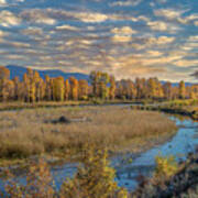 Along The Gros Ventre River In Autumn Poster