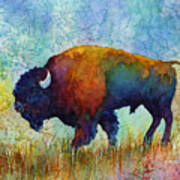 American Buffalo 5 Poster