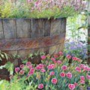 An Old, Rusty Wooden Barrel Full Of Flowers Poster
